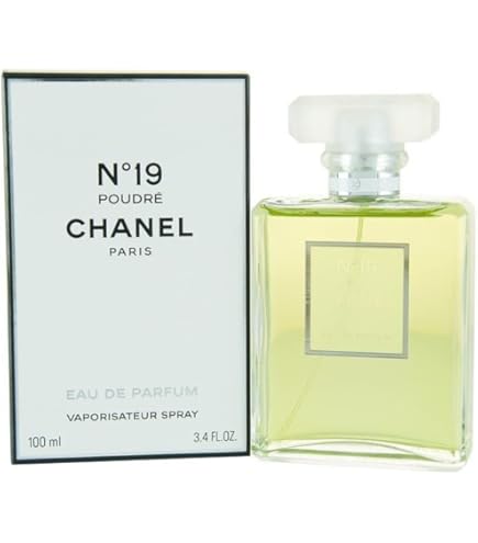 Chanel No.19 Eau De Parfum For Women, 100 ml : Amazon.ae: Beauty
