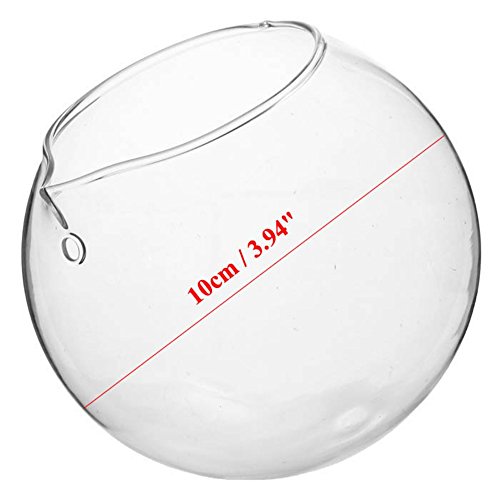 Kungfull Mall Kugel Form Hängender Glas Vase Sukkulenten Micro Landschaft Eco Bottle - 4
