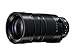 Price comparison product image PANASONIC LUMIX G LEICA DG VARIO-ELMAR PROFESSIONAL LENS, 100-400MM, F4.0-6.3 ASPH, MIRRORLESS MICRO FOUR THIRDS, POWER OPTICAL I.S, H-RS100400 (USA BLACK)