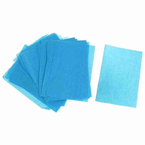 Move&Moving(TM) 80 Pcs Green Butterfly Decor Bag Blotting Paper Oil Absorbing Sheets Blue