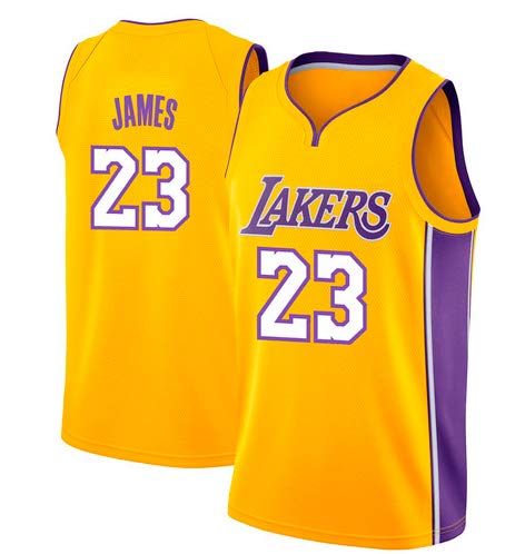 VICTOREM Lebron James #23 Camiseta de Baloncesto para Hombres - NBA Lakers, Nuevo Tela Bordada Camiseta Deportivas de Jersey Swingman (Tamaño: M-XXL)