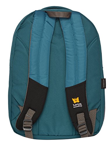 liviya bags amazon