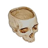 Material: Resin Sharplace Garten Haus Figur Schädel Kopf Totenkopf Modell, Blumentopf Pflanzkübel Wohnzimmer Sammlung