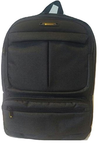 Preisvergleich Produktbild Roncato Rucksack-PC anthrazit