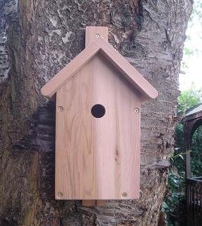 Cedar Bird Box with Wireless Colour CCD Camera - 32mm Hole