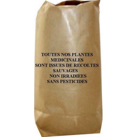 Tisane Armoise feuille 100 GRS CT Artemisia vulgaris