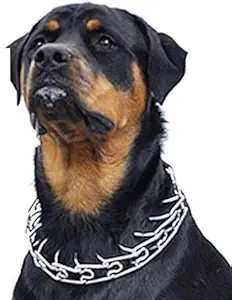 Pet Monastry? Stainless Steel Chrome Plated Prong Dog Ultra-Plus Pet Pinch Training Collar No-Pull Collar (Neck Size - 22