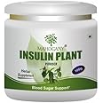 Mahogany Insulin Plant (Costus Igneus) Powder 100g- Diabetes Care Supplement- Controls Blood Sugar