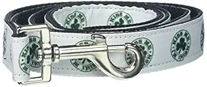 Mirage Pet Products Kiss Me I'm Irish Nylon Ribbon Dog Collar with 1-inch by 4-Feet Leash