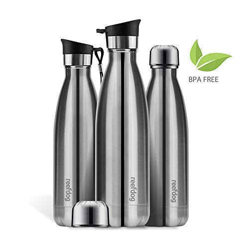 Reefdog Water Bottle | Stainless Steel Vacuum Insulated | Dual Leak Proof Lids | 17 Oz (500 ml) | BP Reefdog Water Bottle | Stainless Steel Vacuum Insulated | Dual Leak Proof Lids | 17 Oz (500 ml) | BP
