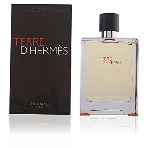 Preisvergleich Produktbild TERRE D'HERMES EDT VAPO 200 ML ORIGINAL
