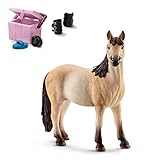  Horseclub Schleich 13806 Mustang Stute + 42114 Pferdepflege