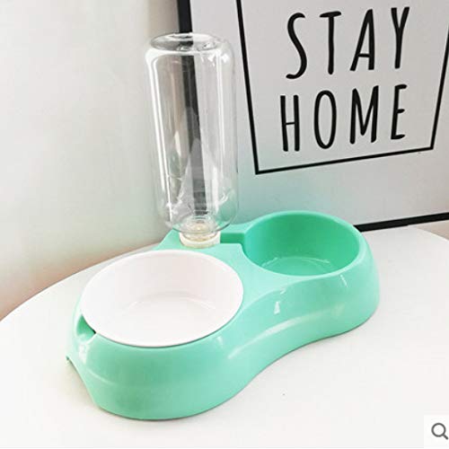 Dog Water Double con Pet Pet Cat Feeder Puppy Bottle Kitten Food Petshy Bocca Dispenser Automatico Ciotola Acqua Non Acqua Ciotola
