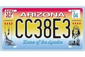 OPO 10 - Targa Auto USA - Replica in Metallo: Arizona (N3)