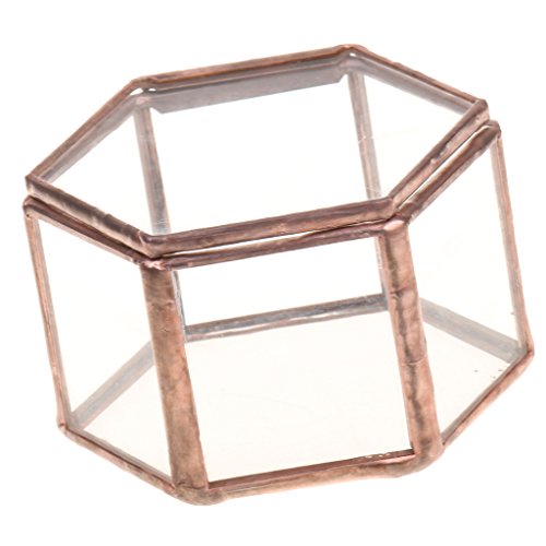 Gazechimp Mini Sechseckige Glasterrarium Geometrisches Glas Schmuckschatulle Sukkulente Pflanzgefäß Haus Dekoration - 8