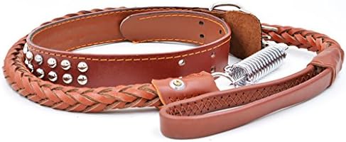 Minve Dog Lead Rope Dog Leather Sturdy Durable Collar Leash Buffer Spring Dog Training/Walking Lead For Large/Medium Dogs (M, Brown)