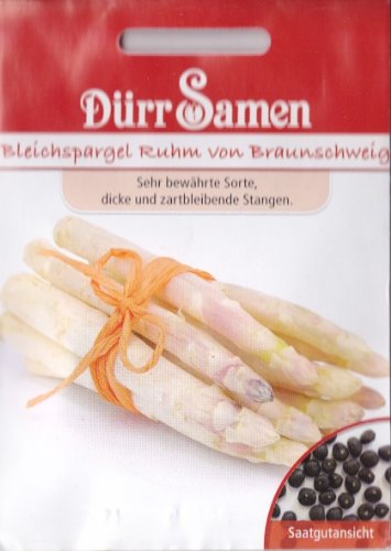 Spargel, Bleichspargel, Asparagus officinalis, ca. 200 Samen