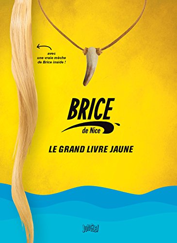 Brice de Nice, le grand livre jaune Brice de Nice, le grand livre jaune