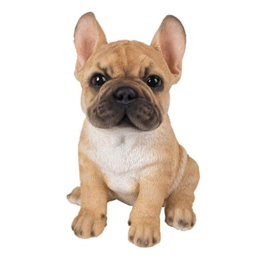 Vivid Arts Pet Pals Golden French Bulldog Puppy