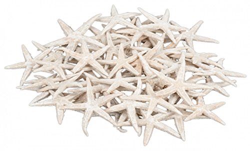 NaDeco® Sugar Seestern weiß 7-10cm, 50 Stück | Deko Seestern | kleine Seesterne | Seesternchen | Deko Seesterne