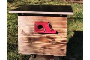 XXL Bumble Bee Box with Wax Moth Stopper, 2x Viewing Window and Nesting Material, Flamed or Impregnated Weatherproof Bee House, Nesting Box, Bumble Bee Villa, Bee, Insect House, Flamed