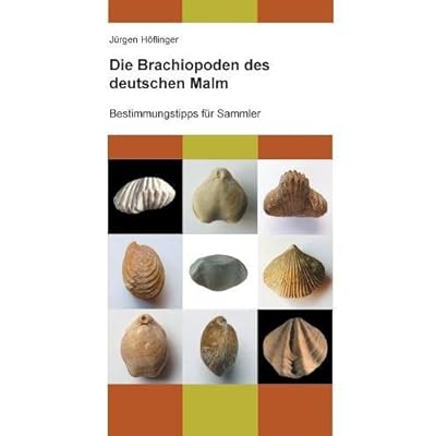Die Brachiopoden des deutschen Malm: Bestimmungstipps für Sammler