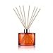 Produktbild Artdeco New Energy Home Fragrance with Sticks, 100 ml