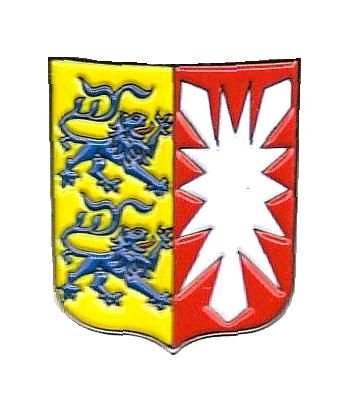 Preisvergleich Produktbild Pin Anstecker Schleswig Holstein Wappen