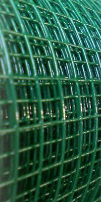 Volierendraht 1m x 25m 25x25mm grün Drahtgitter 4Eck Maschendraht Drahtzaun - 2