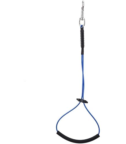 Laccio Da Toeletta Per Cani - Noose Amzi PRO Con Imbottitura - Motivo Zampe, Blu Ciano, 40cm - Foto 5