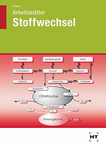 Download Arbeitsblätter Stoffwechsel Download Arbeitsblätter Stoffwechsel