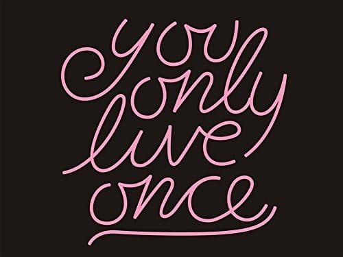 You Only Live Once Real Glass Neon Sign For Bedroom Garage Bar Man Cave Room Home Decor Personalised Handmade Artwork Visual Art Dimmable Wall Lighting Includes Dimmer