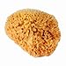 Wedding Band Sponge
