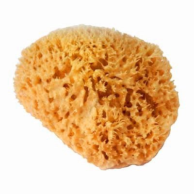 Wedding Band Sponge
