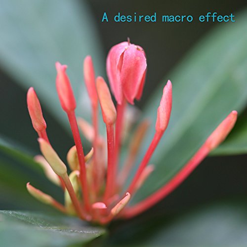 Neewer 3 pi ces avec Tube D Extension Macro pour reflex num rique Nikon AF AF-S DX N190 FX reviews Neewer 3 pi ces avec Tube D Extension Macro pour reflex num rique Nikon AF AF-S DX N190 FX