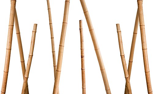 10 Stück Bambusstäbe für Rankgerüste oder Rankhilfen von GREEN24. D10-12mm 106 cm lang