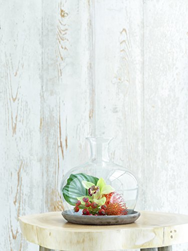 Mica decorations 146856 Monaco Glasglocke mit Teller, Glas, transparent, 23 x 23 x 23 cm - 4