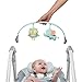 Ingenuity Swing 'n Go Portable Swing, Hugs and Hoots