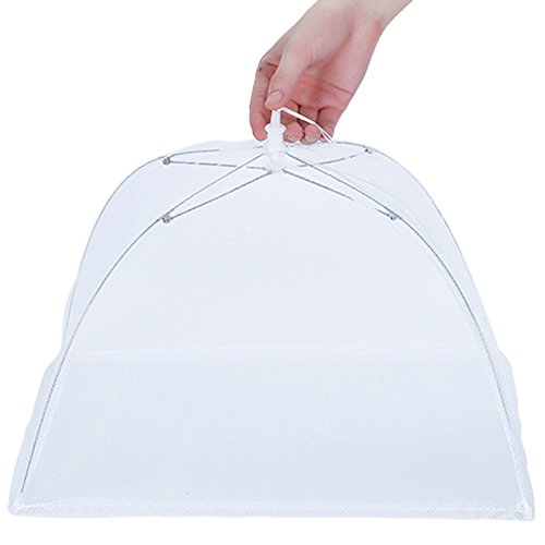 Demarkt Fliegenhaube Speiseschirm Abdeckung für Speisen Insektenschutzhaube Faltbar