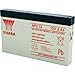 Produktbild YUASA NP2 – 12 Batterie/Akku