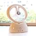 Produktbild TENGGO Home Mini Portable 2 In 1 Electronic Desktop USB Wiederaufladbare Luftfeuchtant Cooling Spray Fan-Weiß