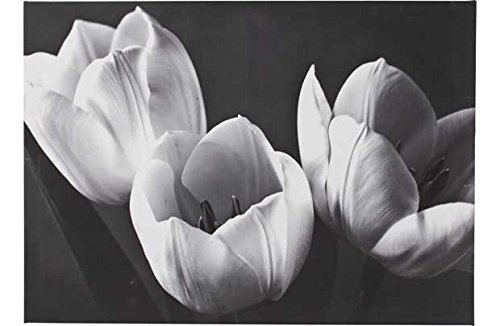 Heart of House Noir Luxe Black and White Tulips Canvas.