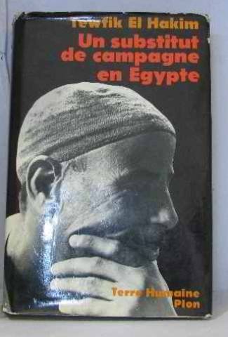 Un Substitut de campagne en Egypte : journal d'un substitut de procureur égyptien