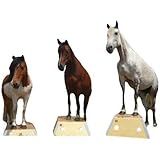 Time4Horses Pferd Pferde Podest Pferdepodest Bodenarbeit Zirkus Podest Zirkuspodest