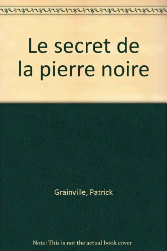 couverture de : Le Secret de la pierre noire