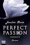 Image de Perfect Passion - Stürmisch: Roman