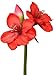Produktbild Künstliche Amaryllis rot natürlich anfühlend, 60 cm, Ø 9 cm - Dekoblume