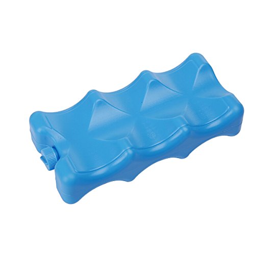 BESTOMZ Accoumulateur de Froid Pain de glace Réutilisable en PP pour Conservation d'alimentation