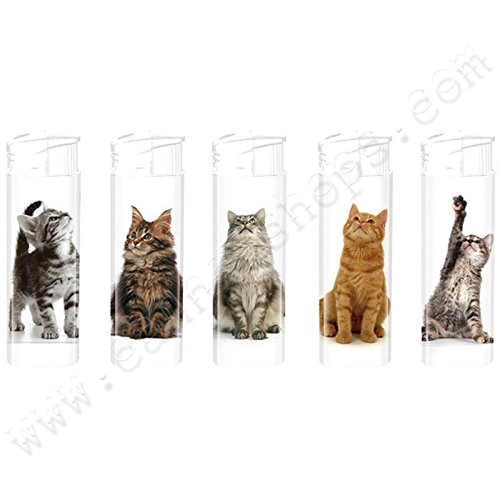 Preisvergleich Produktbild Briquets électroniques Multi Cats - x5
