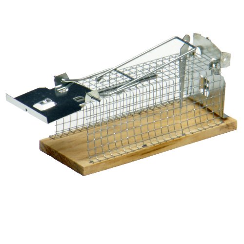 Mausefalle Lebendfalle Kastenfalle 15x6x6 cm (LxBxH) Drahtkastenfalle 1 Eingang Falle Tierfalle